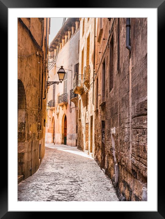 Old town of Palma Framed Mounted Print by Alex Winter