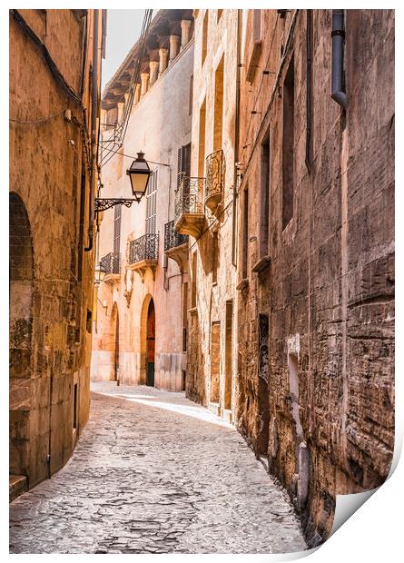Old town of Palma Print by Alex Winter