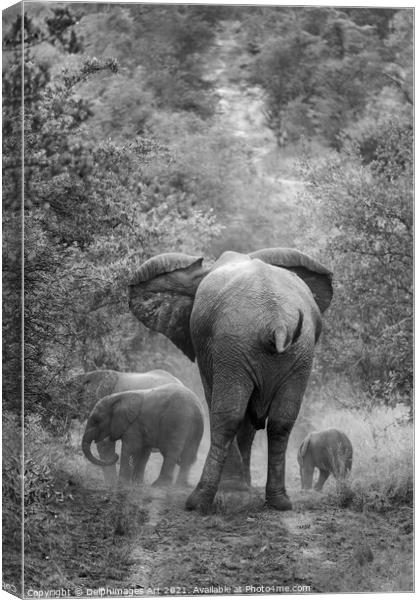 Family of elephants, mother and her cubs Canvas Print by Delphimages Art