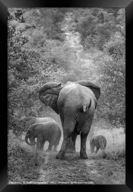Family of elephants, mother and her cubs Framed Print by Delphimages Art
