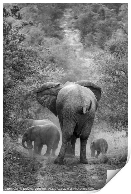 Family of elephants, mother and her cubs Print by Delphimages Art