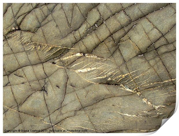 Pembrokeshire Beach rock detail Print by DEE- Diana Cosford