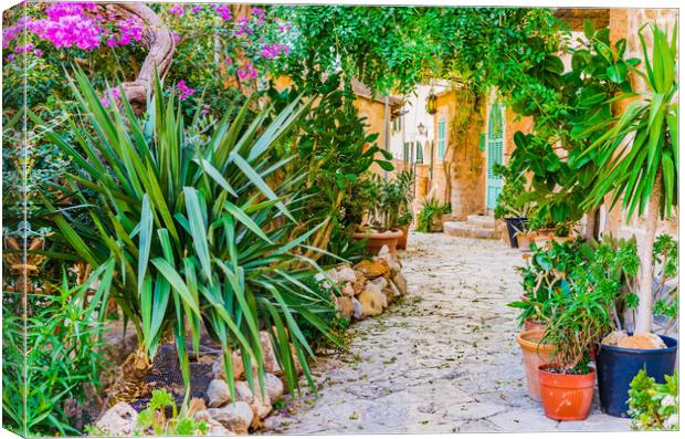 Mediterranean house with beautiful flower pots and potted plants garden Canvas Print by Alex Winter