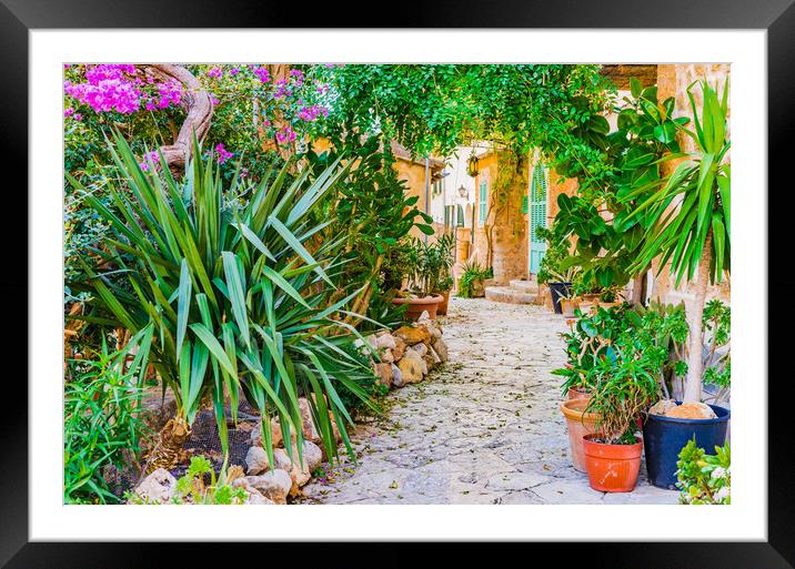 Mediterranean house with beautiful flower pots and potted plants garden Framed Mounted Print by Alex Winter