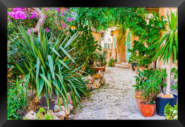 Mediterranean house with beautiful flower pots and potted plants garden Framed Print by Alex Winter