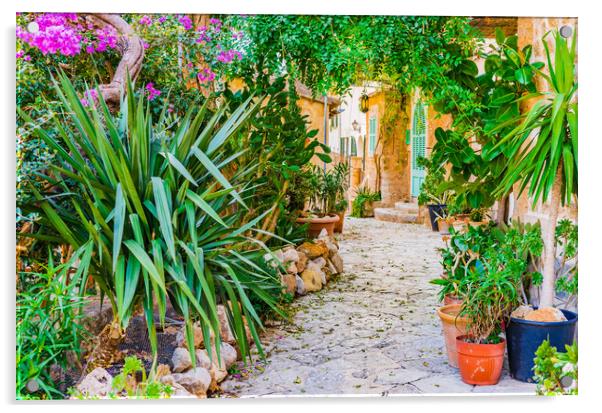 Mediterranean house with beautiful flower pots and potted plants garden Acrylic by Alex Winter