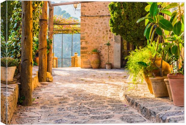 Mediterranean terrace with beautiful potted plants and idyllic sunset light Canvas Print by Alex Winter