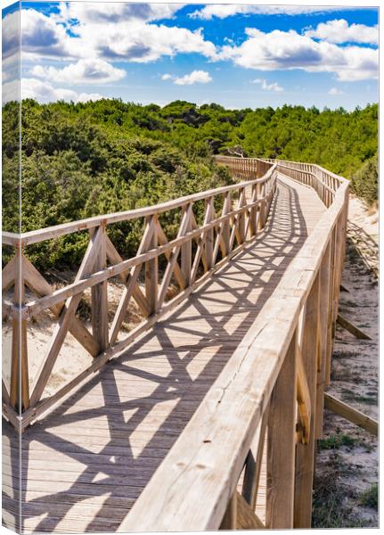 Wooden footbridge over sand dunes at the bay of Alcudia on Majorca Canvas Print by Alex Winter