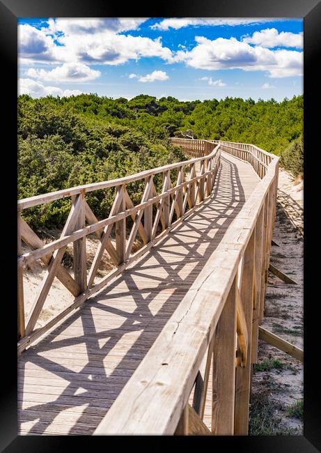 Wooden footbridge over sand dunes at the bay of Alcudia on Majorca Framed Print by Alex Winter