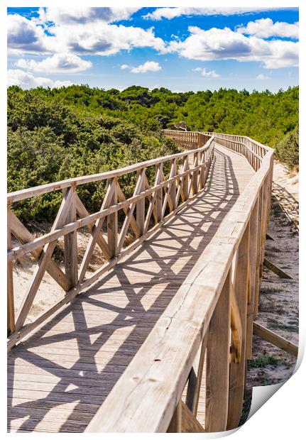Wooden footbridge over sand dunes at the bay of Alcudia on Majorca Print by Alex Winter