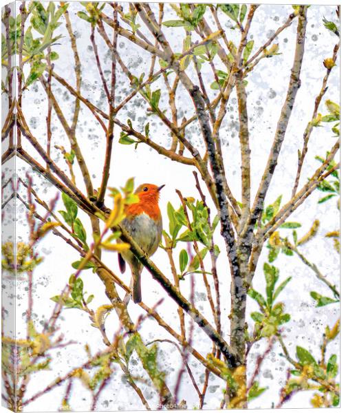 Red Robin High Up In a Tree Canvas Print by Peter Gaeng