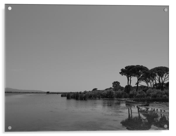 Pines at the lake Acrylic by Dimitrios Paterakis