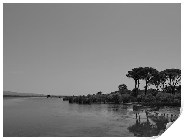 Pines at the lake Print by Dimitrios Paterakis