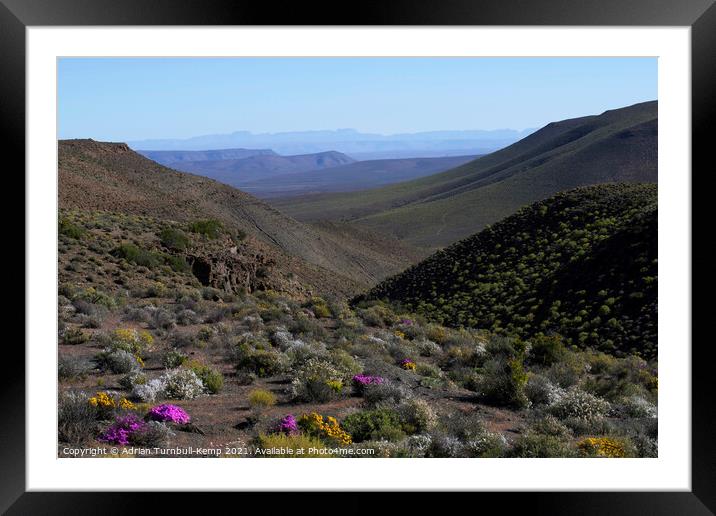 Wildflowers, Bloukrans Pass Framed Mounted Print by Adrian Turnbull-Kemp
