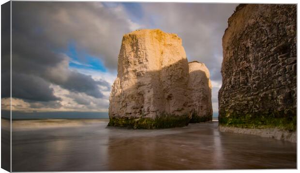 Botany Bay Giants Canvas Print by Clive Eariss