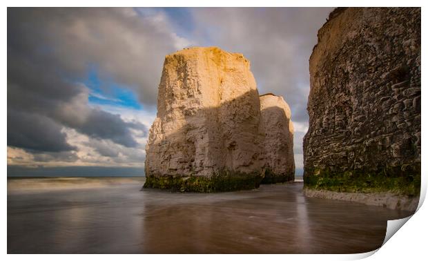Botany Bay Giants Print by Clive Eariss