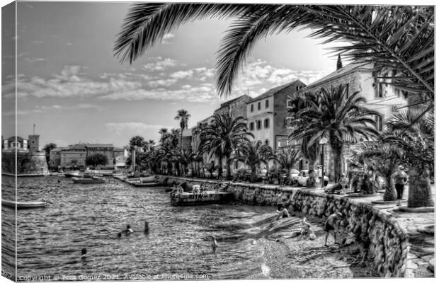 Swimming in Korčula Bay - B&W Canvas Print by Tom Gomez