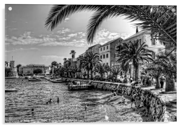 Swimming in Korčula Bay - B&W Acrylic by Tom Gomez