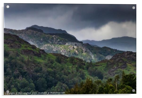Landscape near Tarn Hows Cumbria Acrylic by Phil Longfoot