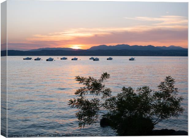 Lake Garda Sunset near Sirmione Canvas Print by Dietmar Rauscher