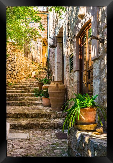 Mediterranean house with potted plant decoration Framed Print by Alex Winter