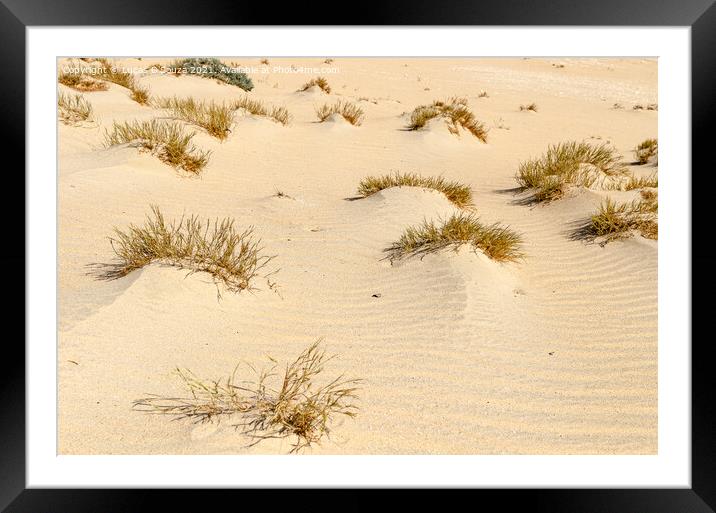 Desert Landscape Framed Mounted Print by Lucas D'Souza