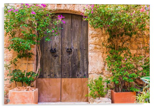 Old door with potted plants decoration Acrylic by Alex Winter