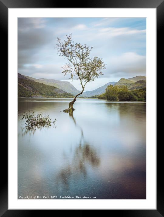 The Lone Tree reflection Framed Mounted Print by Bob Kent