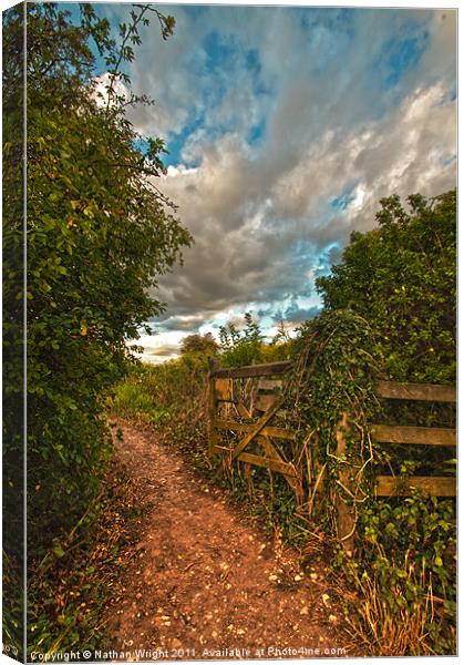 Old gate Canvas Print by Nathan Wright