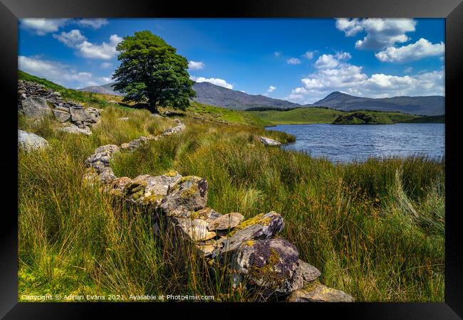 Llyn y Dywarchen Snowdonia Framed Print by Adrian Evans