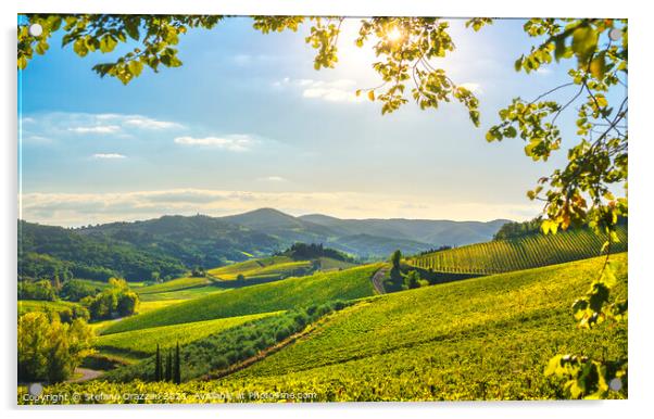 Radda in Chianti vineyards. Tuscany, Italy Acrylic by Stefano Orazzini