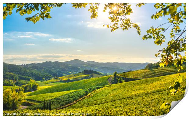 Radda in Chianti vineyards. Tuscany, Italy Print by Stefano Orazzini
