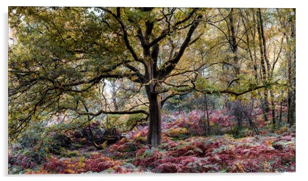 Tree in Autumn Acrylic by Mark Jones