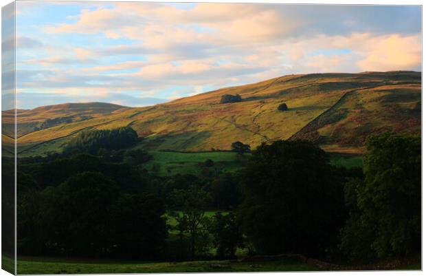 Sunrise Hillside in the Yorkshire Dales Canvas Print by Jeremy Hayden