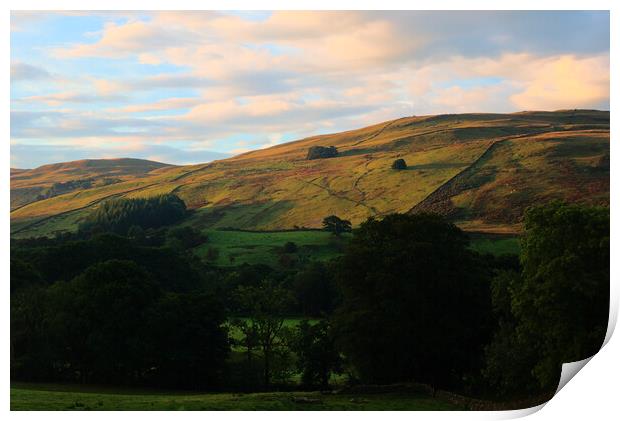 Sunrise Hillside in the Yorkshire Dales Print by Jeremy Hayden