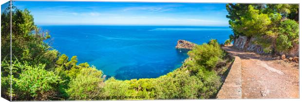 Mallorca island panorama Canvas Print by Alex Winter
