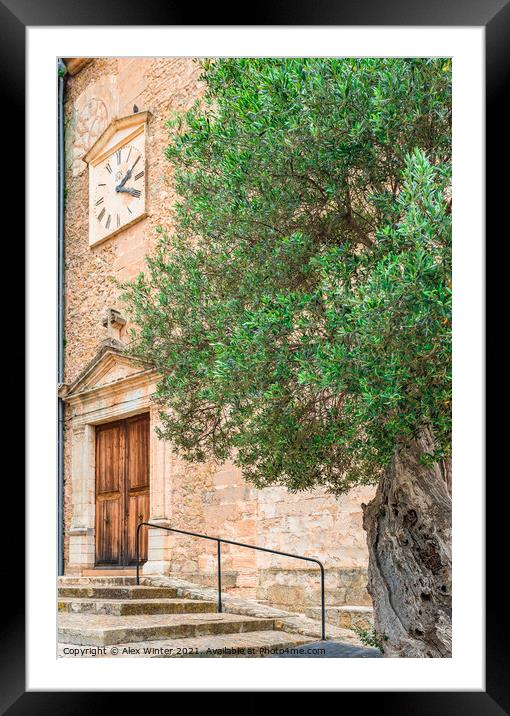 View of old olive tree in mediterranean village Framed Mounted Print by Alex Winter