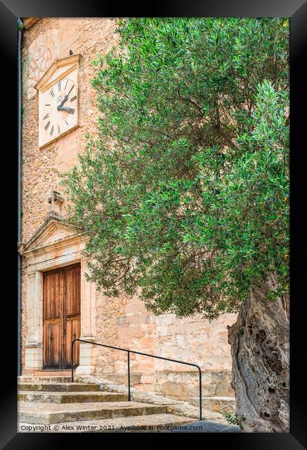 View of old olive tree in mediterranean village Framed Print by Alex Winter