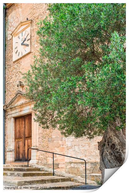 View of old olive tree in mediterranean village Print by Alex Winter