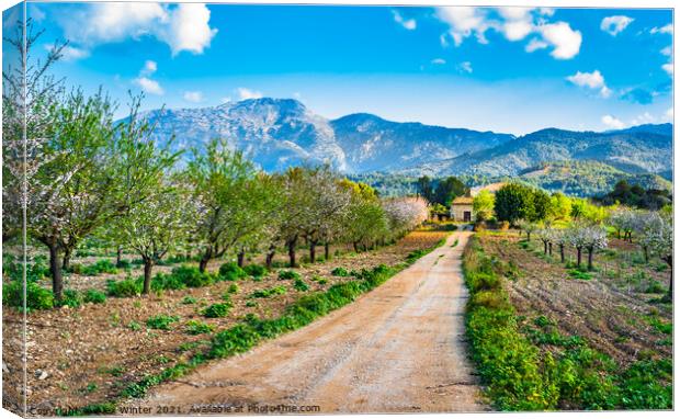 Spring day with idyllic scenery  Canvas Print by Alex Winter