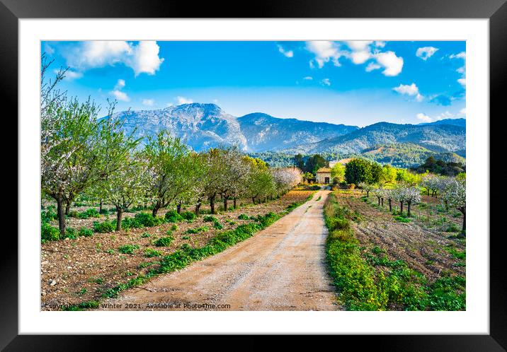 Spring day with idyllic scenery  Framed Mounted Print by Alex Winter