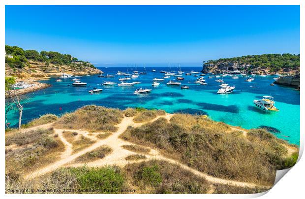 Portals Vells with many luxury yachts Print by Alex Winter