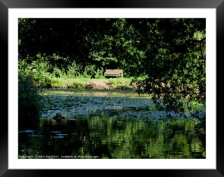 Bench and lily pond Framed Mounted Print by John Rae