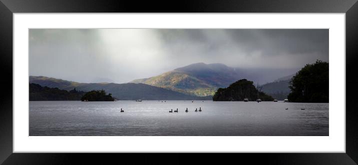 Birds on Lake Windermere Framed Mounted Print by Leighton Collins