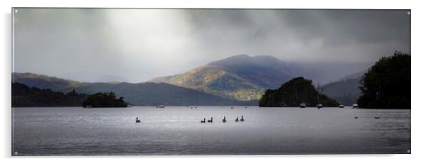 Birds on Lake Windermere Acrylic by Leighton Collins