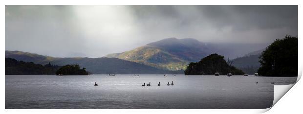 Birds on Lake Windermere Print by Leighton Collins