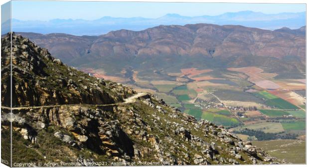 Southern view of Swartberg Pass  Canvas Print by Adrian Turnbull-Kemp