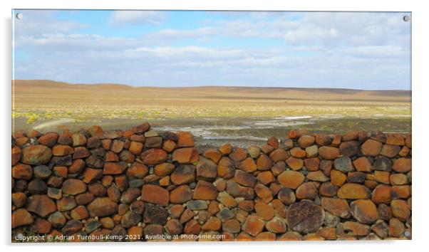 Karoo textures Acrylic by Adrian Turnbull-Kemp