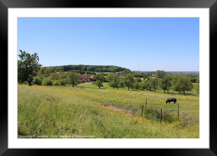 Flemish Pajottenland, Landscape View Summer Framed Mounted Print by Imladris 