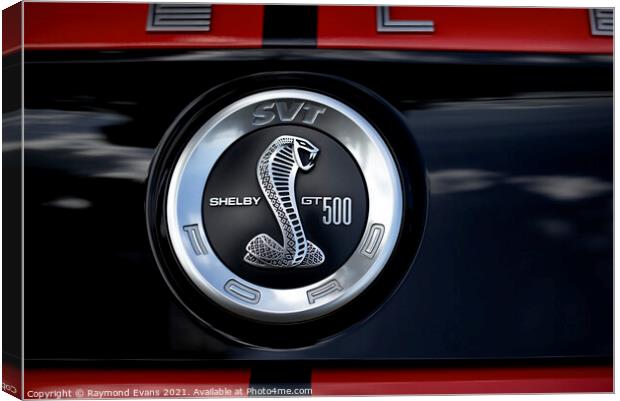 Shelby GT500 Mustang Canvas Print by Raymond Evans